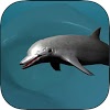 com.xixgames.dolphinsim3d