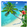 de.toar.livewallpaper.tropicalbeach.free