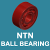 devtech.ntnballbearing
