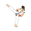 game.FinalKarate
