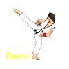 game.FinalKarateDemo