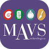 it.powermob.mavs