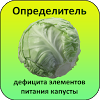 ru.agrosoftex.dinut.cabbage