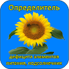 ru.agrosoftex.dinut.sunflower
