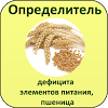 ru.agrosoftex.dinut.wheat