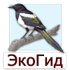 ru.ecosystem.birds