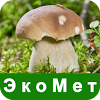 ru.ecosystem.bot01fungi
