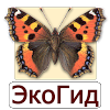 ru.ecosystem.butterfly