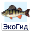ru.ecosystem.fish