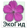 ru.ecosystem.flowers