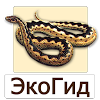 ru.ecosystem.reptiles