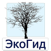 ru.ecosystem.trees