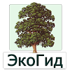 ru.ecosystem.trees_sum