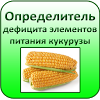 ru.example.dinut1