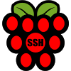 uk.co.knowles_online.raspberryssh