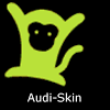 wal.audiskin