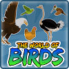 air.com.callystro.games.BirdWorld