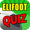 air.com.elidreams.elifootquiz
