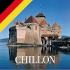 com.applica.chillon.dt