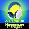 com.audiobooks.Ravn.Pushkin.MalTrag