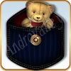 com.av.themes.tsf.AmericanTeddyBear