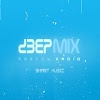 com.dejan.deepmix.app