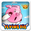com.divmob.flyingpig
