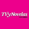 com.editorial.tvynovelascoandroid