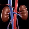 com.ekoheif.nephrology_assisstant_free