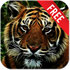 com.flyingfox.supercube_tiger_free