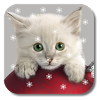 com.kklivewallpaper.xmascat