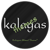 com.lge.themepark.KalagasMixedTheme