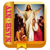 com.nasbbible