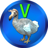 com.palmcrust.dodo.validator