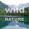 com.prog.puzzlewildnature.free