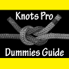 com.webclouddesigns.knotsprodummiesguide