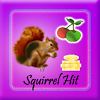 my.magicx.appdev2014.SQUIRRELHIT