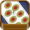 net.drkappa.game.scopa