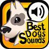 pl.netigen.bestdogsounds