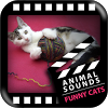 pl.netigen.funnycatssounds