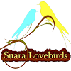 suara.lovebirds